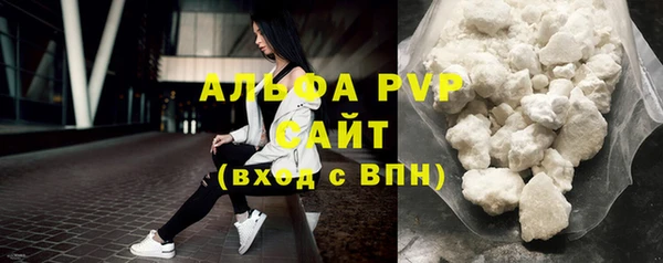 сатива Магас