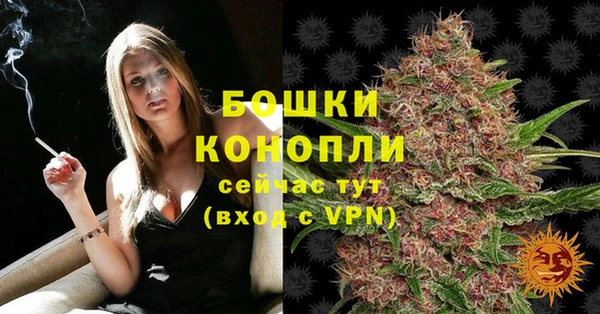 сатива Магас