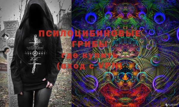 дживик Мегион