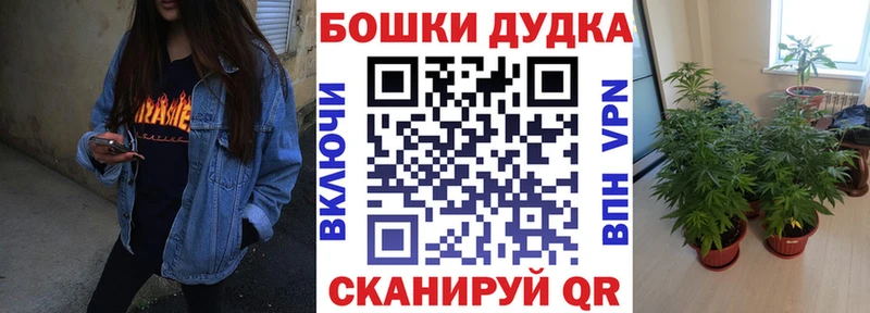Конопля MAZAR  Никольское 